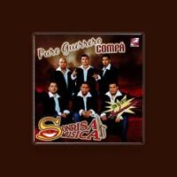 Sonrisa Musical