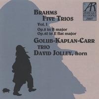 Horn Trio In E-Flat Major for Horn, Violin and Piano, Op. 40: III. Adagio Mesto