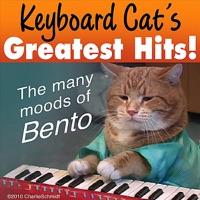 Keyboard Cat After Dentist