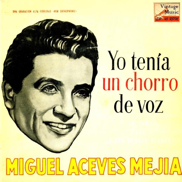 Yo Tenía Un Chorro De Voz B.S.O - O.S.T From the Film "Tal Para Cual" (Ranchera)