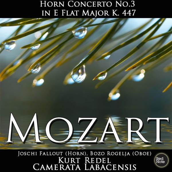 Horn Concerto No.3 in E Flat Major, K. 447: I. Allegro