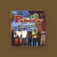 Punta Cartel