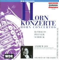 Horn Concerto No. 1 In E-Flat Major, Op. 11, TrV 117: I. Allegro