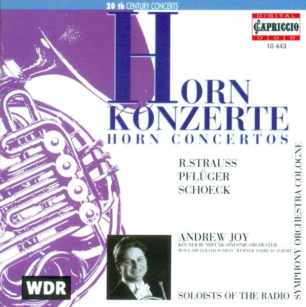 Horn Concerto No. 1 In E-Flat Major, Op. 11, TrV 117: I. Allegro