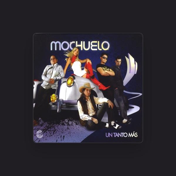 Mochuelo