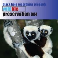 My Bizznizz (Vocal Mix)