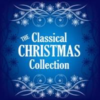 Brandenburg Concerto No. 3 In G Major, BWV 1048: I. Allegro
