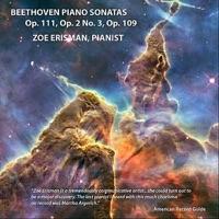 Sonata No. 30 in E Major, Op. 109: Presstissimo