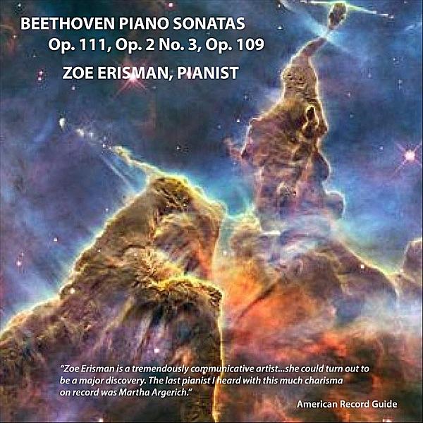 Sonata No. 30 in E Major, Op. 109: Presstissimo