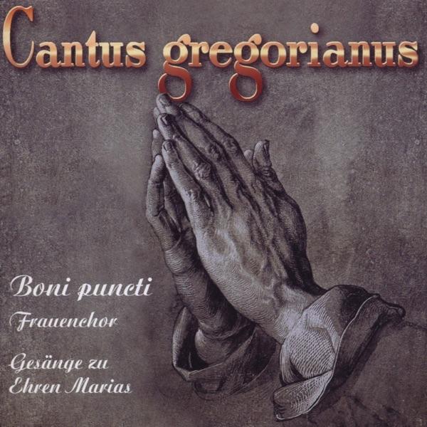 In Festo Assumptionis B.M.V. - V. Communio: Optimam Partem