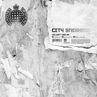 You Don´t Own Me (Vocal Mix)