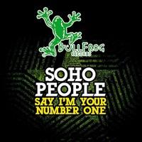 Say I'm Your Number One (Instrumental)