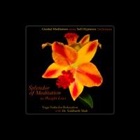 Splendor of Meditation for Weight Loss