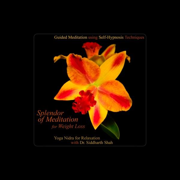 Splendor of Meditation for Weight Loss