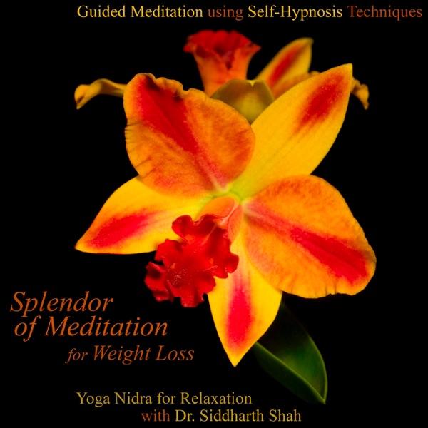 Guided Meditation for Weight Loss and Mindful Eating