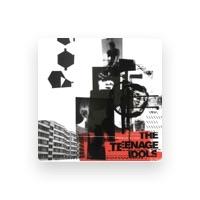 The Teenage Idols