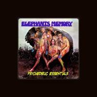 Elephants Memory