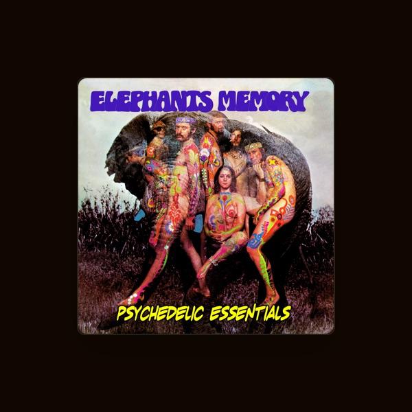 Elephants Memory