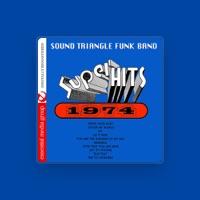 Sound Triangle Funk Band