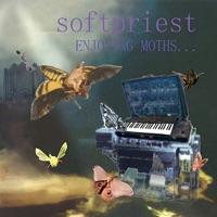 Enjoying Moths