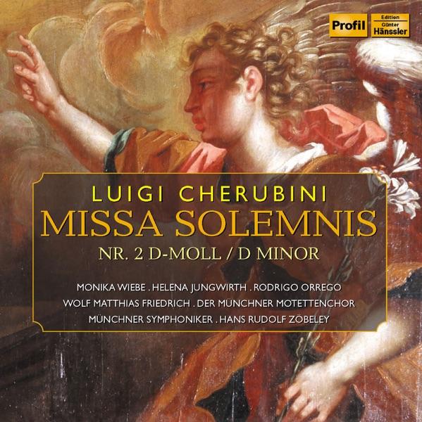 Mass No. 2 in D minor, "Messe Solennelle": Agnus Dei
