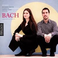 Harpsichord Concerto In F Minor (BWV 1056): Presto