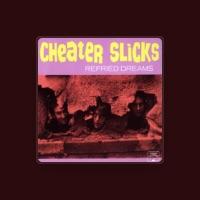Cheater Slicks