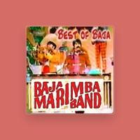 Baja Marimba Band