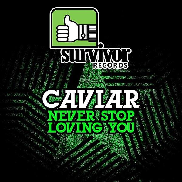 Never Stop Loving You (Instrumental)