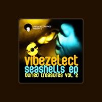 Vibezelect