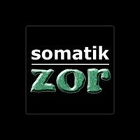 Somatik
