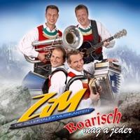 Bed of Roses (Radio Version)