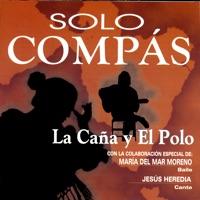 Cante Flamenco Solo Por el Polo Sin Guitarra