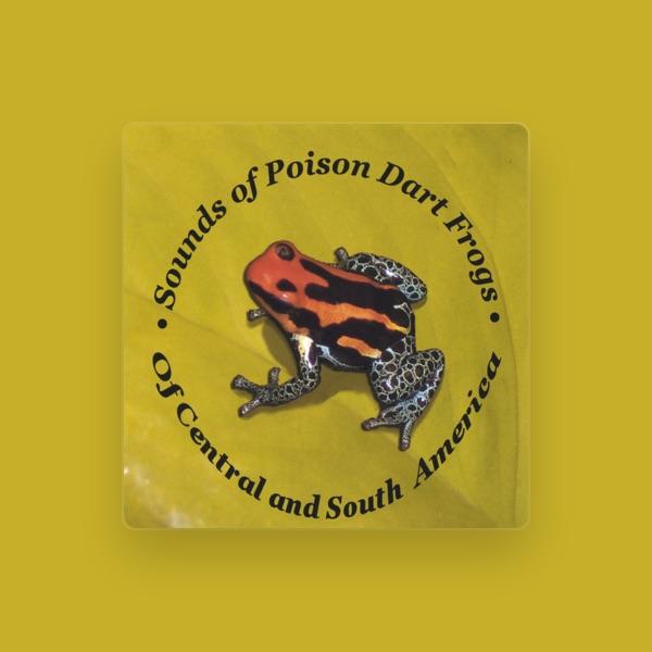 Poison Dart Frogs