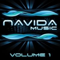 Never Slow Down (DJ Observer Remix)