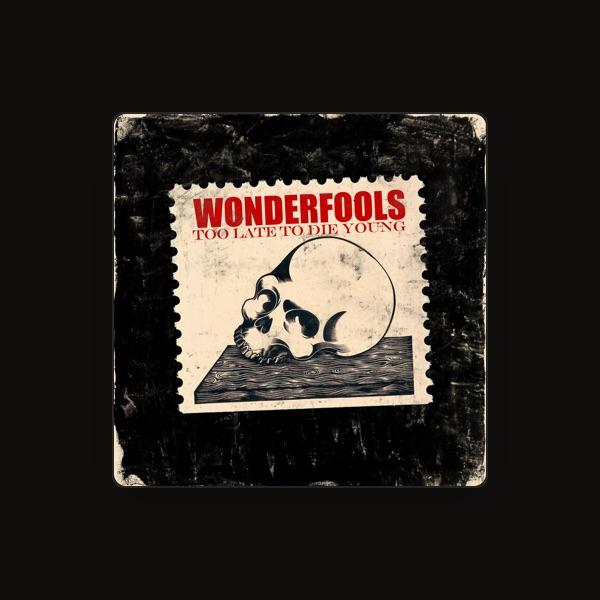 Wonderfools