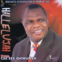 I Rejoice In Jesus