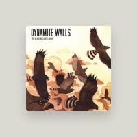 Dynamite Walls