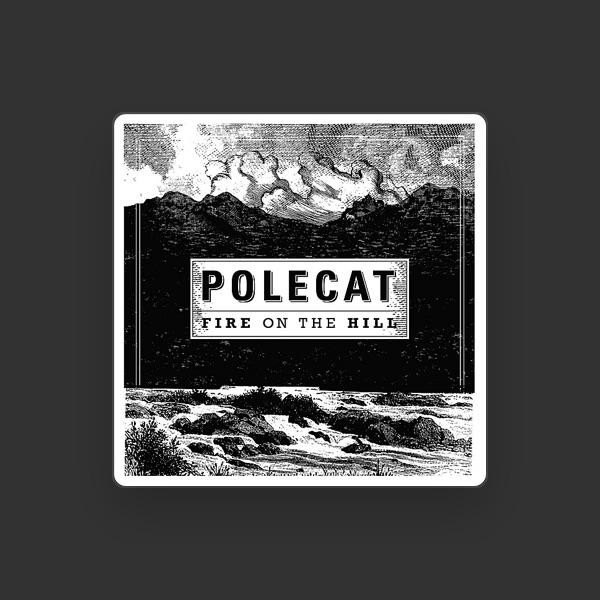 Polecat