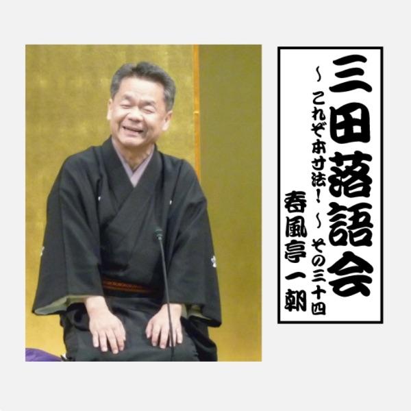 岸柳島