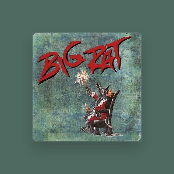Big Rat