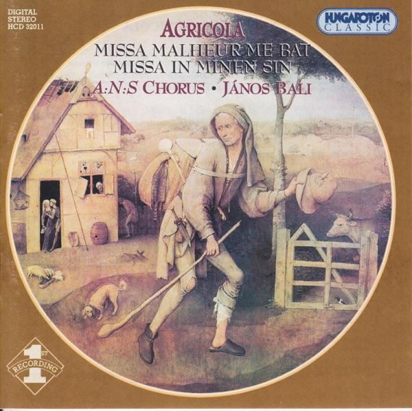 Missa In minen sin: Agnus II (a 3)