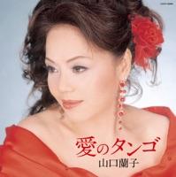 愛のタンゴ~愛は喜び愛は涙~(オリジナル・カラオケ)