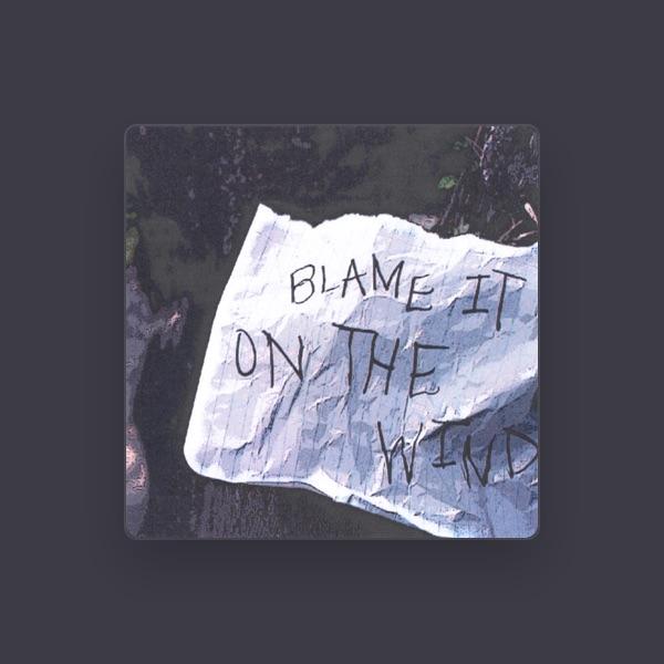 Blame It On The Wind