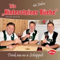 Schwarzenburger Marsch