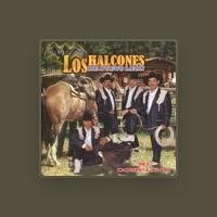 Los Halcones de Nuevo Leon