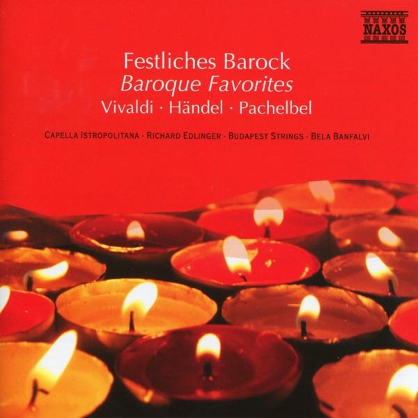 Oboe Concerto in D Minor: I. Andante e spiccato