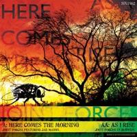 As I Rise Feat Dubwize (Original Mix)
