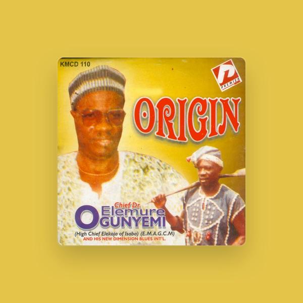 Chief Dr. Elemure Ogunyemi & His New Dimension Blues Int'L