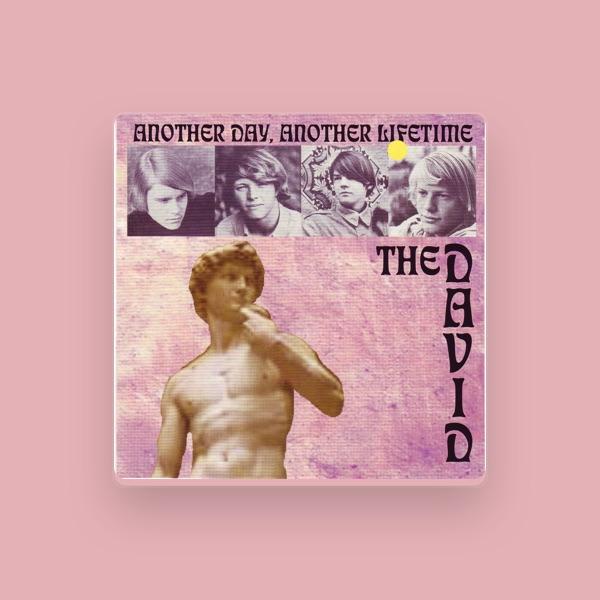 The David
